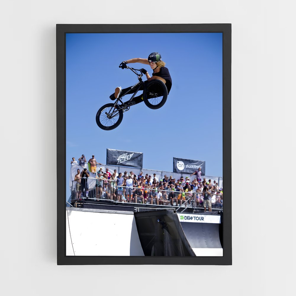 Poster Trickster BMX (vue 2)